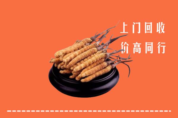 高价求购：贺州回收散虫草